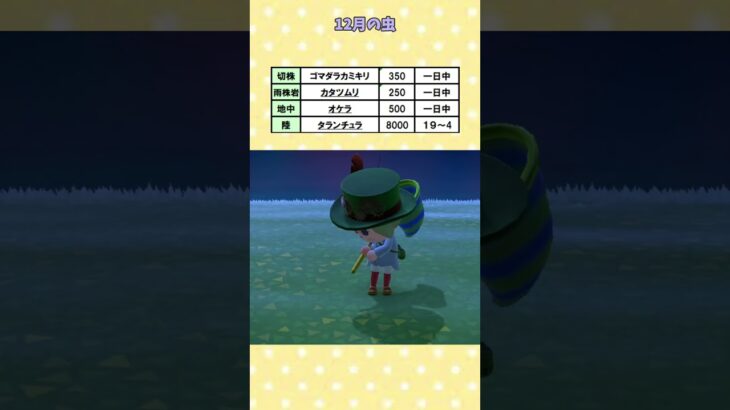 12月の虫 #あつ森  #あつ森攻略講座  #あつ森虫 #あつ森コンプ