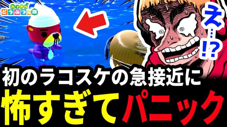 【あつ森】なぜあつ森に人体模型が置いてあるのか？を考えすぎてパニックになる西田【西田のあつ森#12】