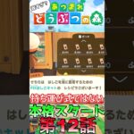 【あつ森】　出遅れ借金あつ森生活第12話『本格スタート』