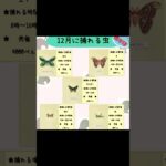#あつまれどうぶつの森 #あつ森 #12月 #虫 #南半球 #switch #ゲーム配信 #チャンネル登録と高評価お願いします