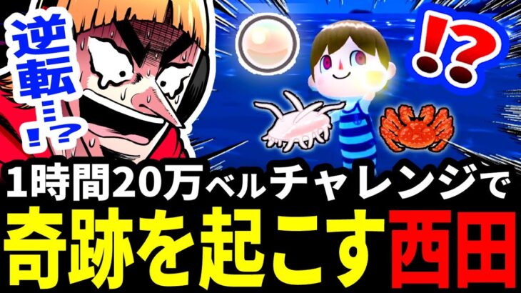 【あつ森】1時間20万ベルチャレンジでとんでもない奇跡を起こす西田