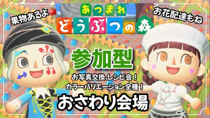 #125  【あつ森】ジムノエ島のおさわり会！