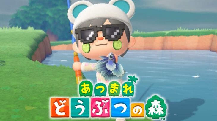 【あつ森】図鑑コンプリートを目指して #12【あつまれどうぶつの森/あつ森】【式神ありす/個人Vtuber】