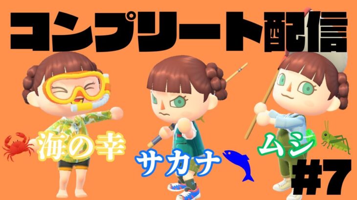 【あつ森 】あとはサカナのコンプのみ！！🎣残り15匹を今日で釣りきりたい✊🔥【あまなっ島】#7