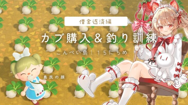 〖あつ森｜朝活〗💰カブと畑で借金生活が終わります💰｜こんぺい島15日目〖フレリア・ランヴェルセ｜個人vtuber〗