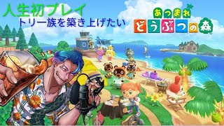 「あつ森」#2博物館完成