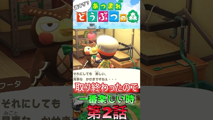 【あつ森】　出遅れ借金あつ生活第2話『一番楽しい時』