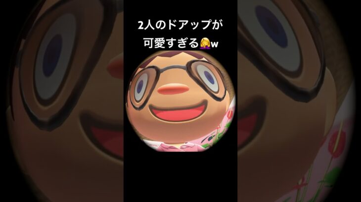 ホンマに愛おしい2人🫶🥹 #あつ森 #あつまれどうぶつの森 #ゲーム実況 #shorts