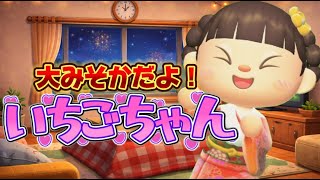 【あつ森アニメ】大みそかだよ！いちごちゃん/2025年ありがとう特別編
