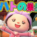 【あつ森】24時間マスターの日常に密着！喫茶ハトの巣生活【あつまれどうぶつの森】