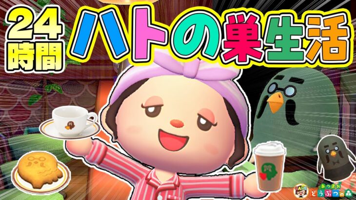 【あつ森】24時間マスターの日常に密着！喫茶ハトの巣生活【あつまれどうぶつの森】