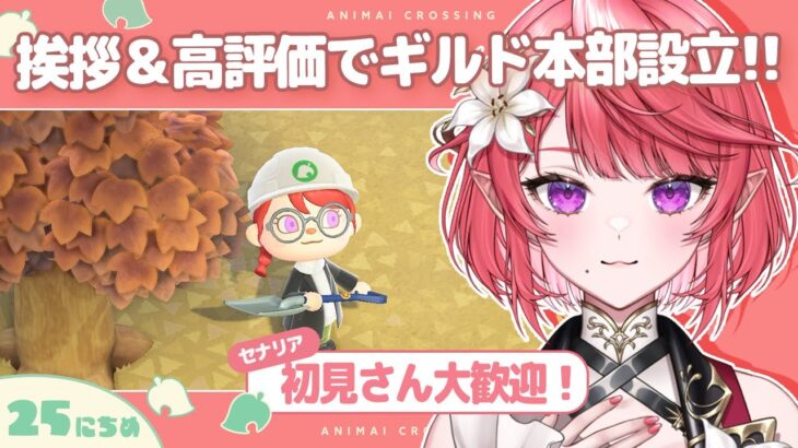 【あつ森】初見歓迎！配信で島発展する不思議な島！？今日のクエストは◯◯！【25日目/セナリア】