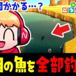 (あつ森/生放送#27)12月から釣れる魚を全種類釣るライブ【西田のあつ森初見反応ライブ】