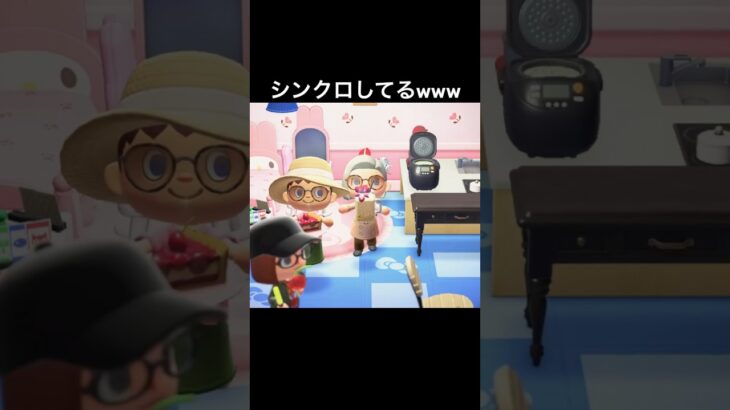 息ぴったりな2人w #あつ森 #あつまれどうぶつの森 #ゲーム実況 #shorts