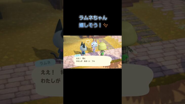 あつ森　#315　まったりしていきませんか？😺😼✨️