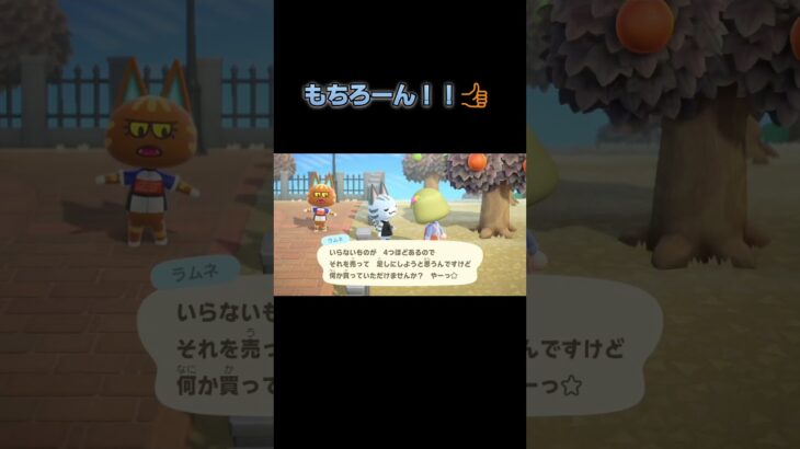 あつ森　#317　まったりしていきませんか？😺✨️✨️