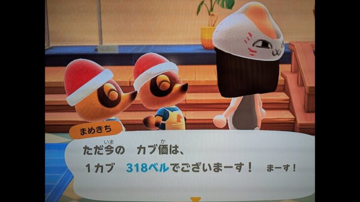 【あつ森】カブ318！チャンネル登録、高評価で売り放題！