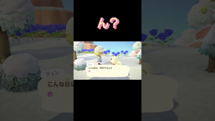 あつ森　#319まったりしていきませんか？🐿️～✨