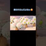 あつ森　#320　まったりしていきませんか？😺✨️