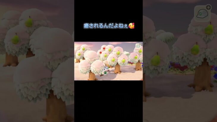 あつ森　#320　まったりしていきませんか？😺✨️