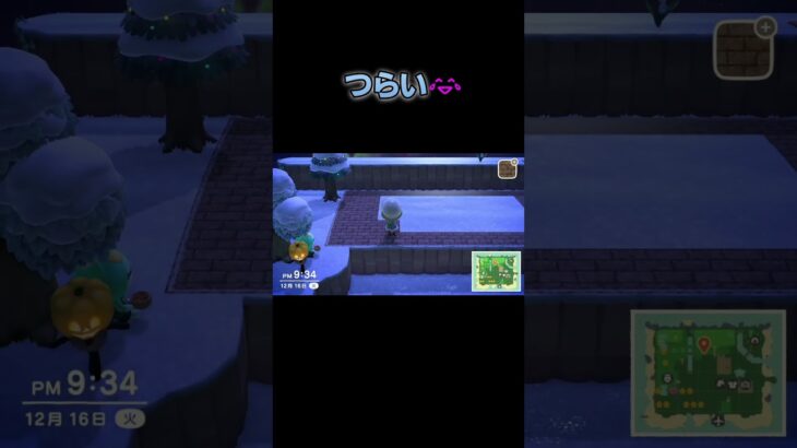 あつ森　#321　まったりしていきませんか？🐰✨️