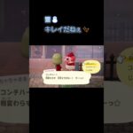 あつ森　#323　まったりしていきませんか？🐑🎵