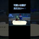 あつ森　#324　まったりしていきませんか？🐿️🦅✨️