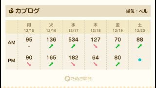 【あつ森】3時までカブ534！チャンネル登録、高評価で売り放題！