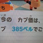 【あつ森】カブ385！チャンネル登録、高評価で売り放題！
