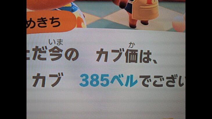 【あつ森】カブ385！チャンネル登録、高評価で売り放題！