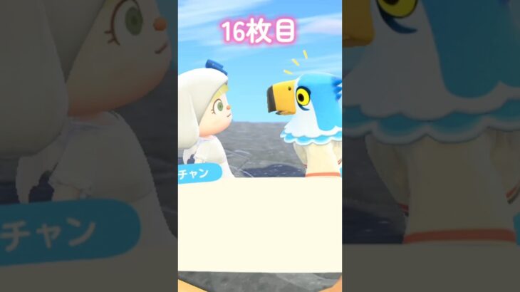 【あつ森】第3回ワンワン島離島ガチャpart2🐶