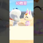 【あつ森】第3回ワンワン島離島ガチャpart4🐶