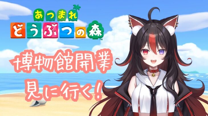 【あつ森】#4 博物館開業！見に行こう～！【狛ノヰみつ/劇団おとめた】#みつわんたいむ