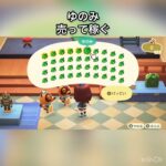 【あつ森】ゆのみ40個売ったらいくらかな？　#vlog #あつまれどうぶつの森 #こはくちゃんねる2424 #animalcrossing #asmr #acnh #shorts