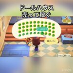 【あつ森】ドールハウス40個売ったらいくらかな？　#vlog #あつまれどうぶつの森 #こはくちゃんねる2424 #animalcrossing #asmr #acnh #shorts