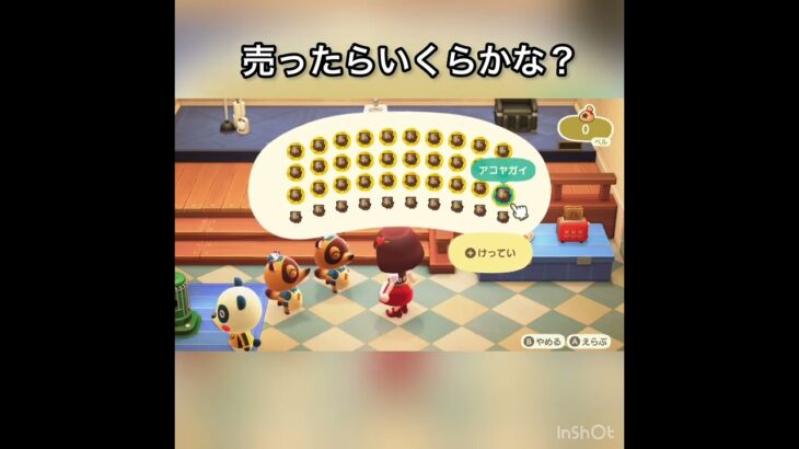 【あつ森】アコヤガイ40個売ったら112000ベル　#vlog #あつまれどうぶつの森 #こはくちゃんねる2424 #animalcrossing #asmr #acnh #shorts