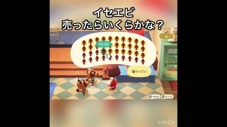 【あつ森】イセエビ40個売ったら200000ベル　#vlog #あつまれどうぶつの森 #こはくちゃんねる2424 #animalcrossing #asmr #acnh #shorts