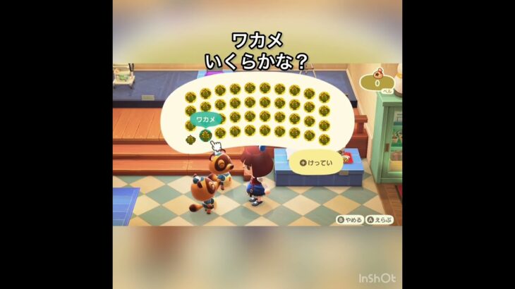 【あつ森】ワカメ40個売ったら24000ベル　vlog #あつ森 #あつまれどうぶつの森 #こはくちゃんねる2424 #animalcrossing #asmr #acnh #shorts