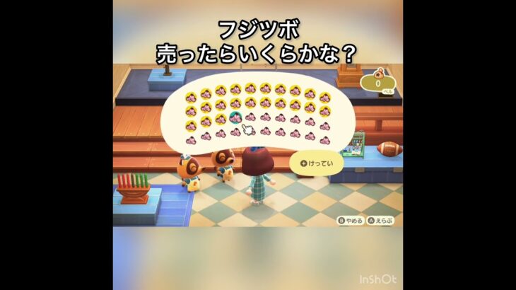 【あつ森】フジツボ40個売ったら24000ベル　vlog #あつ森 #あつまれどうぶつの森 #こはくちゃんねる2424 #animalcrossing #asmr #acnh #shorts