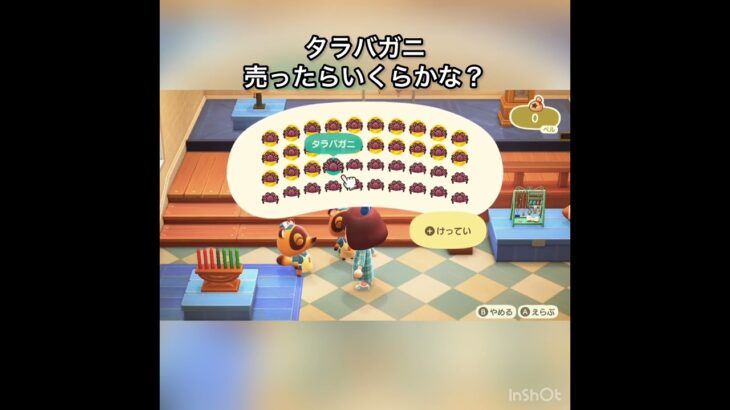 【あつ森】タラバガニ40個売ったら320000ベル　vlog #あつ森 #あつまれどうぶつの森 #こはくちゃんねる2424 #animalcrossing #asmr #acnh #shorts