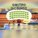 【あつ森】ウミブドウ40個売ったら36000ベル　vlog #あつ森 #あつまれどうぶつの森 #こはくちゃんねる2424 #animalcrossing #asmr #acnh #shorts