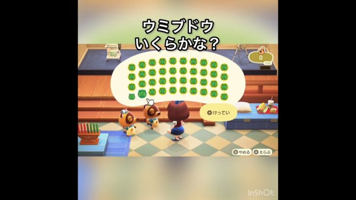 【あつ森】ウミブドウ40個売ったら36000ベル　vlog #あつ森 #あつまれどうぶつの森 #こはくちゃんねる2424 #animalcrossing #asmr #acnh #shorts