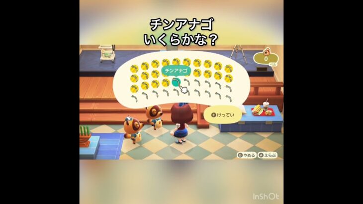 【あつ森】チンアナゴ40個売ったら44000ベル　vlog #あつ森 #あつまれどうぶつの森 #こはくちゃんねる2424 #animalcrossing #asmr #acnh #shorts