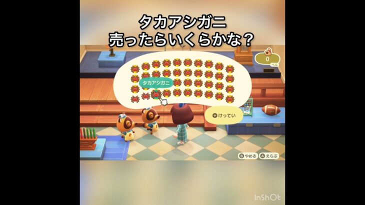【あつ森】タカアシガニ40個売ったら480000ベル　vlog #あつ森 #あつまれどうぶつの森 #こはくちゃんねる2424 #animalcrossing #asmr #acnh #shorts