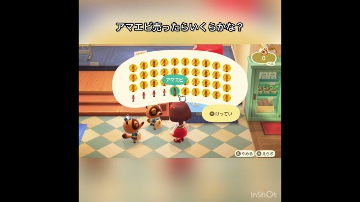 【あつ森】アマエビ40個売ったら56000ベル　vlog #あつ森 #あつまれどうぶつの森 #こはくちゃんねる2424 #animalcrossing #asmr #acnh #shorts