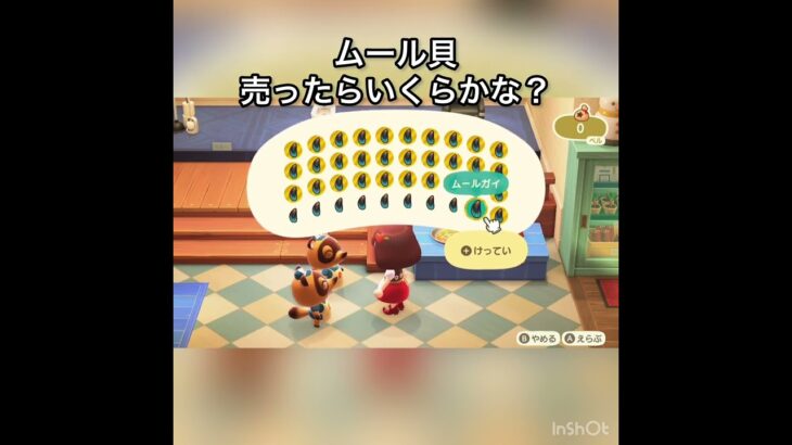 【あつ森】ムール貝40個売ったら600000ベル　#vlog #あつまれどうぶつの森 #こはくちゃんねる2424 #animalcrossing #asmr #acnh #shorts