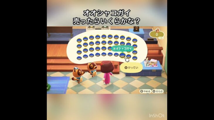 【あつ森】オオシャコガイ40個売ったら600000ベル　#vlog #あつまれどうぶつの森 #こはくちゃんねる2424 #animalcrossing #asmr #acnh #shorts