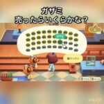 【あつ森】カザミ40個売ったら88000ベル　vlog #あつ森 #あつまれどうぶつの森 #こはくちゃんねる2424 #animalcrossing #asmr #acnh #shorts