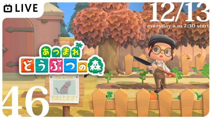 【無人島生活46日目】#あつ森 朝からまったり雑談chill配信～☀【特上あどれちゃん／Vututepro】