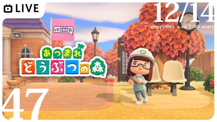 【無人島生活47日目】#あつ森 朝からまったり雑談chill配信～☀【特上あどれちゃん／Vututepro】